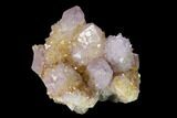 Cactus Quartz (Amethyst) Crystal Cluster - South Africa #137800-2